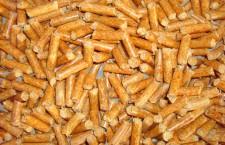 Enviva Applauds EPA on Clean Power Plan