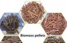 History of Wood & Biomass Pellets