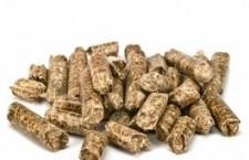 Switzerland: Price of wood pellets remains stable in August