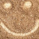 Finding Markets for Wood Biomass