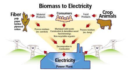 Biomass Energy In Canada