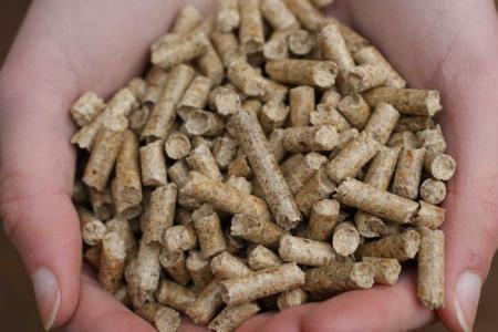 Why renewable ‘biomass’ is not as good for the climate as we’d hoped