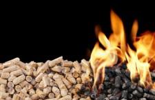 Report predicts increase in Russian wood pellet production